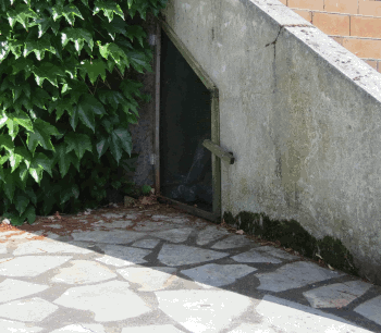 Nick Porsche - Big fish Image 1